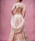 Sola kali printed lehenga with handwork choli